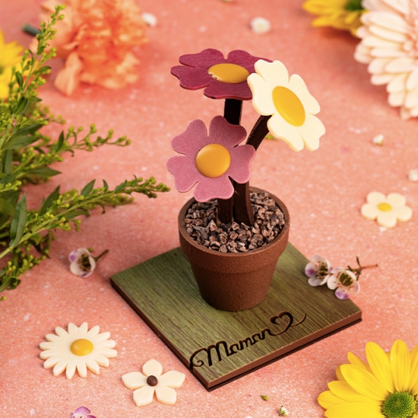 pot de fleurs fête des mères Laurent Le Daniel Rennes MOF chocolat idée cadeau bonne fête maman